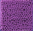 XL (90×150 cm) / Light Purple