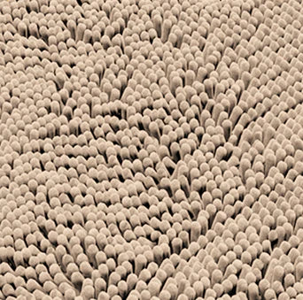 XL (90×150 cm) / Beige